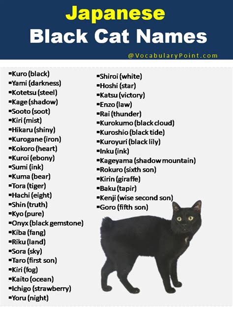 black cat names japanese|japanese cat names male black.